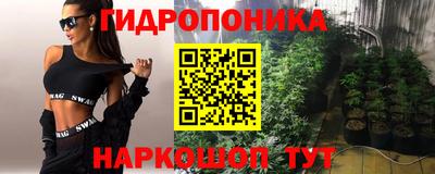 твердый Владимир