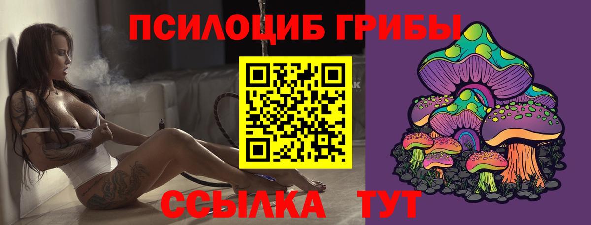Галлюциногенные грибы Psilocybine cubensis  Псилоцибиновые грибы GOLDEN TEACHER  Вход с VPN  где продают наркотики  Канск 